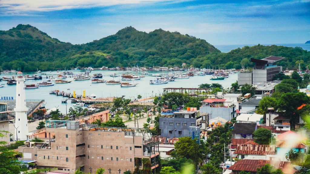 Contact & Book Your Komodo Liveaboard | WhatsApp Concierge