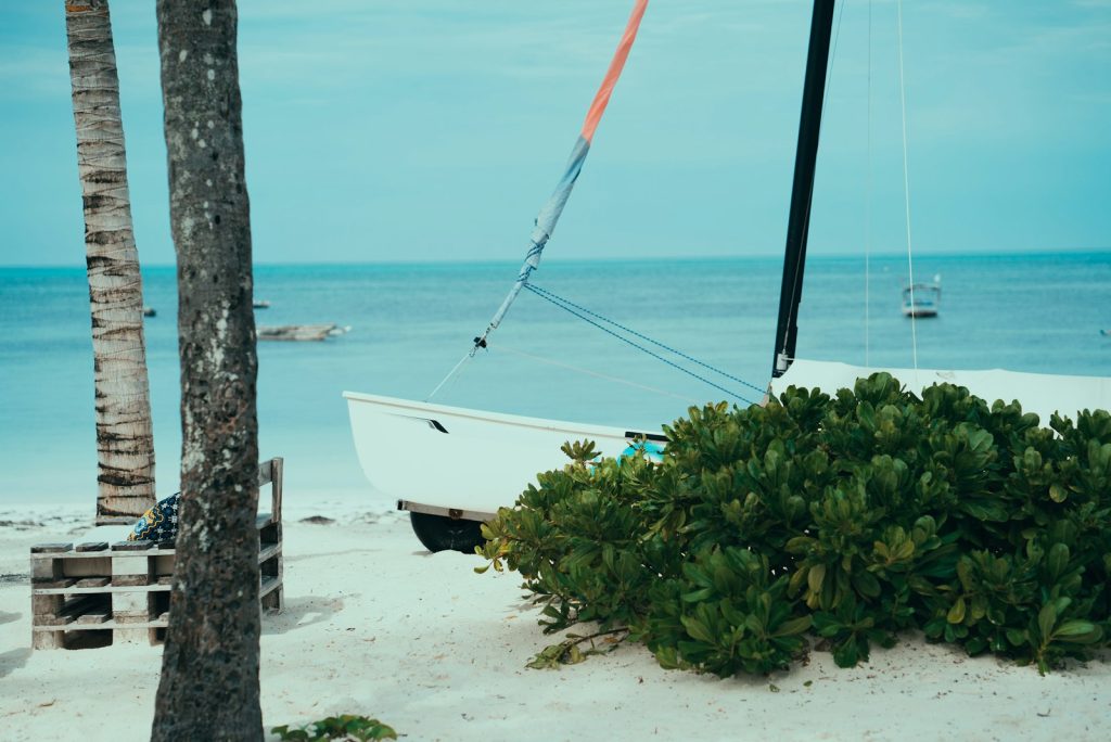 Family Komodo Liveaboard | Kid-Friendly Boats & Group Charters