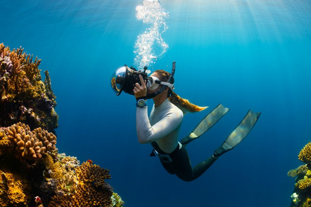 Komodo Diving for Beginners in 2027: Can You Dive Komodo?
